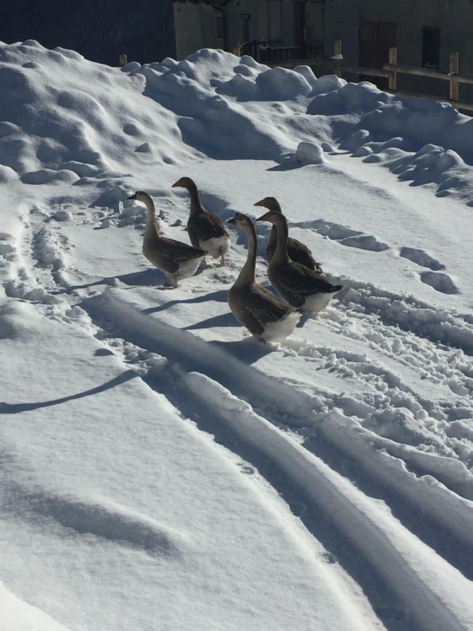 Relax Holiday Colle Colle Sestriere Εξωτερικό φωτογραφία